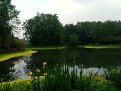 -桤木河湿地公园