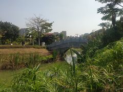 -王借岗森林公园