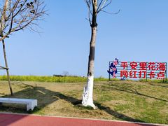 -湄洲岛