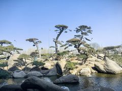 -罗红摄影艺术馆