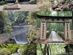 -大奇山国家森林公园