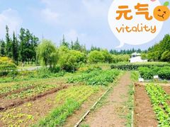 -前小桔亲子创意农场·草莓采摘·露营烧烤