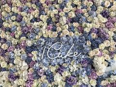-1Cake壹刻蛋糕(奥体公园味觉艺术馆店)
