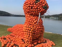 -上海月湖雕塑公园