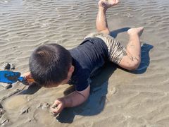 -奉贤海滩