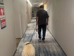 -深圳国际会展中心希尔顿酒店(前海华发冰雪世界店)