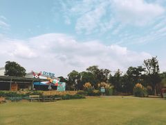 -田园东方蜜桃村的田野营地