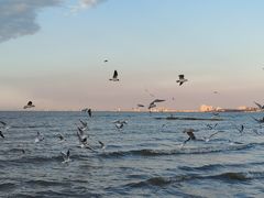 -碣石国家级海洋公园