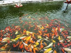 -重元寺香积厨素斋馆