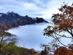 -梭布垭石林景区