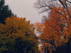 -吉林大学(南岭校区)
