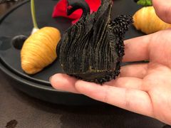 岭南黑天鹅酥（半打）-广州文华东方酒店·江-由辉师傅主理