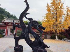 -云龙山