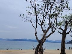 -大梅沙海滨公园