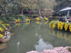 -杭州植物园