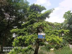 -广州市白云山风景名胜区