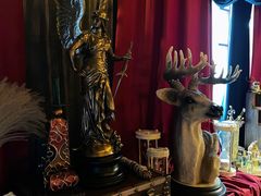 -雪灵魔法世界SHELLY’S TAROT(大良桂畔里店)