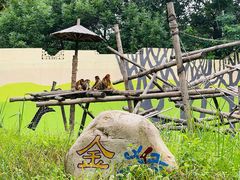 -北京野生动物园