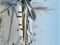 -成飞公园