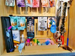 -猫十亿·布偶金渐层·曼基康矮脚猫舍(青年路店)