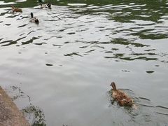 -浙江省中医院(湖滨院区)