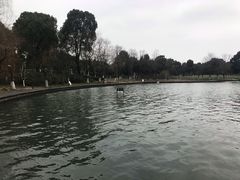 -暨阳湖生态园