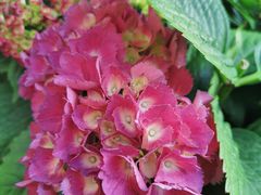 -中国工商银行(上海市徐汇支行华山路支行)