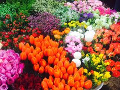-双季花艺园艺市场(浦东店)