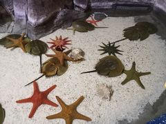 -福州罗源湾海洋世界旅游区