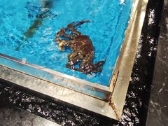 -蟹将军·松叶蟹和牛日料放题自助(K11店)