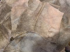 -铜元老码头鳝鱼火锅