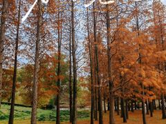 -梁鸿国家湿地公园