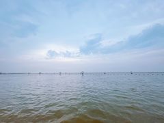 -碧海金沙