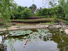 -宁波九龙湖开元度假村
