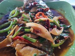 -四川人郑霞海鲜