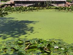 -前关湿地公园