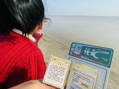-观潮胜地公园