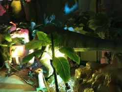 点击看大图 -恐龙探索乐园(磁器口店)