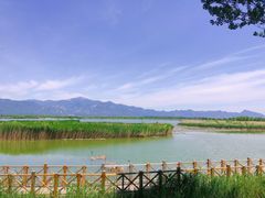 -野鸭湖国家湿地公园