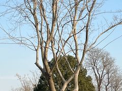 -秦始皇帝陵博物院-丽山园