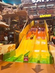 -卡通尼·Safari非洲探索乐园·生日会(金桥国际商业广场店)