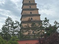 -清真·老兰家(兴善寺西街总店)