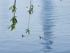 -玄武湖景区-情侣园游乐场