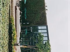 -星巴克(深圳前海企业公馆店)