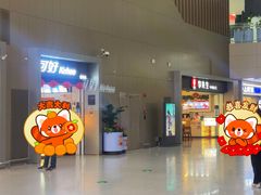-青岛胶东国际机场
