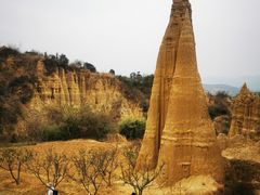 -元谋浪巴铺土林景区