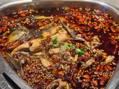 -味之绝美蛙鱼火锅(八号路店)