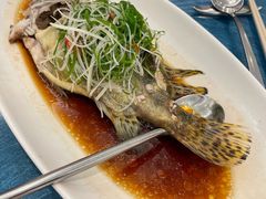 -圆苑(静安寺店)