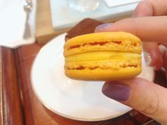 -燕庭·纯燕窝·甜品下午茶(南京西路店)