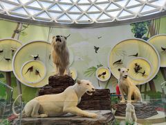 -陕西自然博物馆